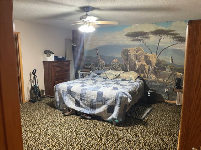 1226 Vz County Road, Grand Saline, TX 75140