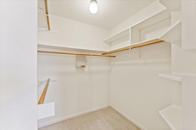 215 Deep Dale Lane, Conroe, TX 77304