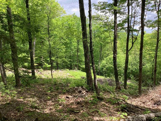 Lot 1 Pegwood Road, Campton, NH 03223