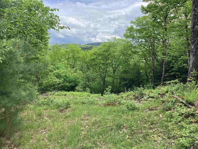 Lot 1 Pegwood Road, Campton, NH 03223
