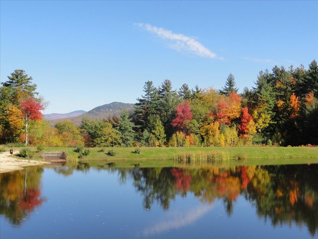 Lot 1 Pegwood Road, Campton, NH 03223