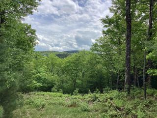 Lot 1 Pegwood Road, Campton, NH 03223