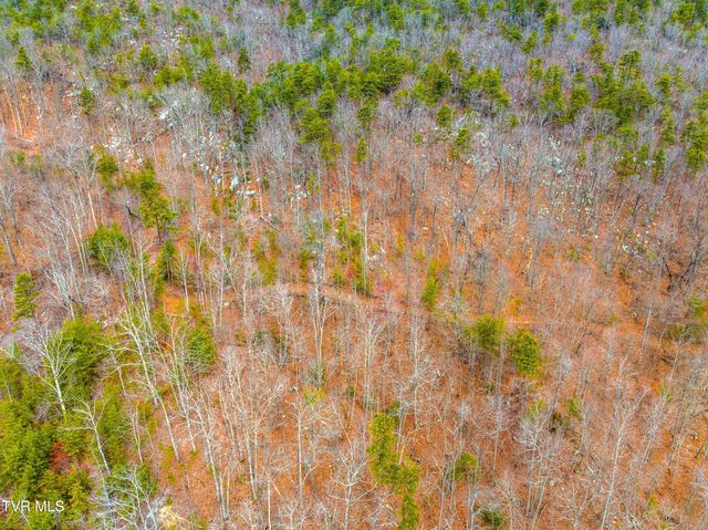 0 Poor Valley Road, Rogersville, TN 37857