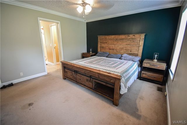 2410 County Road 44, Moundville, AL 35474
