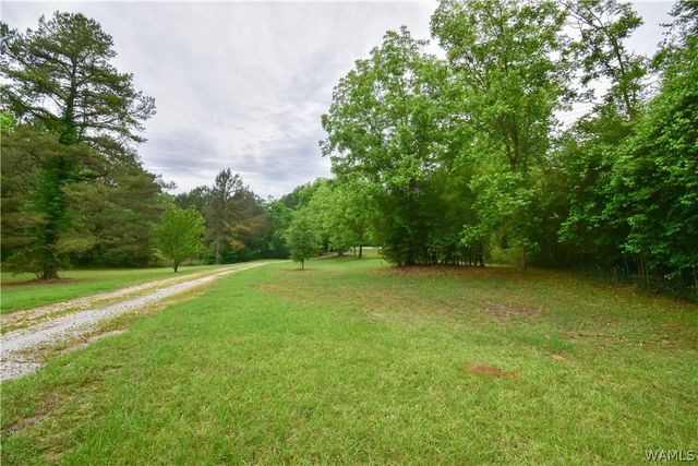 2410 County Road 44, Moundville, AL 35474