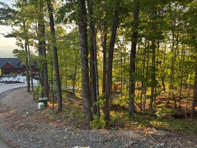 Lot 239 Kittatinny Drive, Mineral Bluff, GA 30559