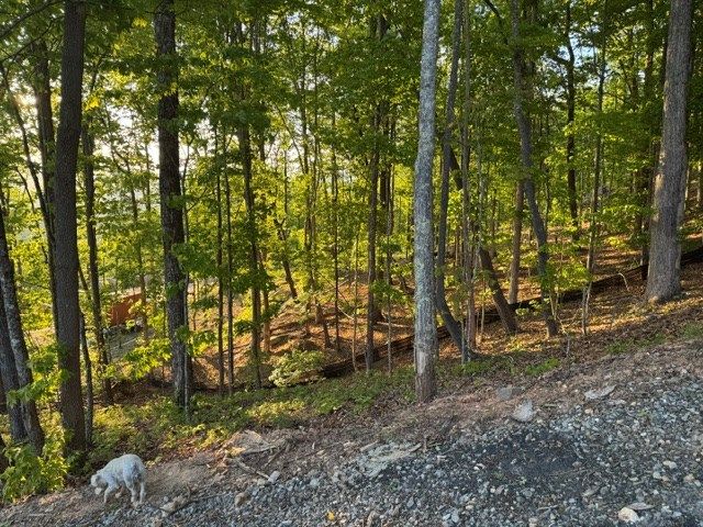 Lot 239 Kittatinny Drive, Mineral Bluff, GA 30559