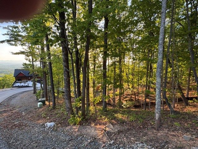Lot 239 Kittatinny Drive, Mineral Bluff, GA 30559