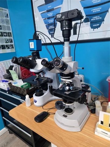 39924 US HIGHWAY 19 HIGHWAY N 39924, Tarpon Springs, FL 34689