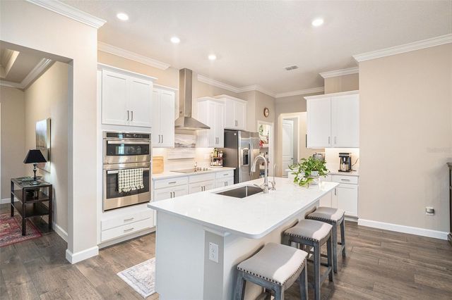 17100 FORGE SURF STREET, Land O Lakes, FL 34638