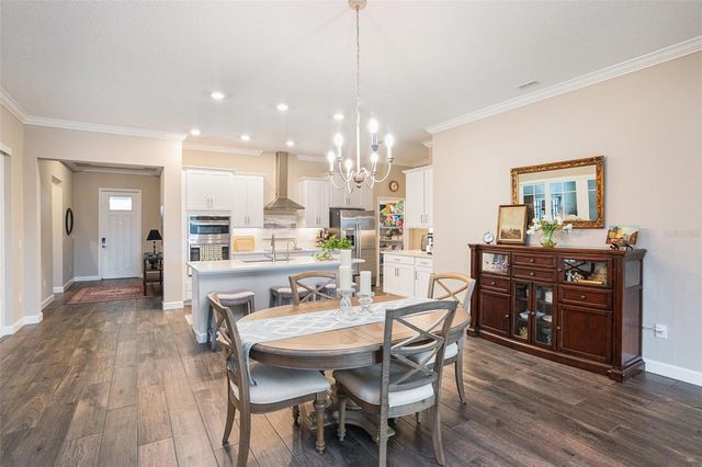 17100 FORGE SURF STREET, Land O Lakes, FL 34638