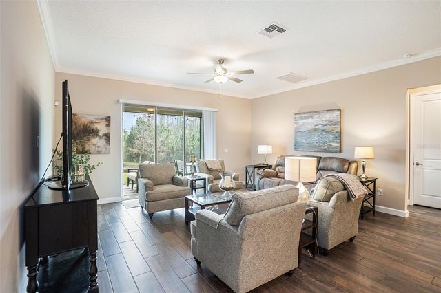 17100 FORGE SURF STREET, Land O Lakes, FL 34638