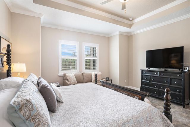 17100 FORGE SURF STREET, Land O Lakes, FL 34638