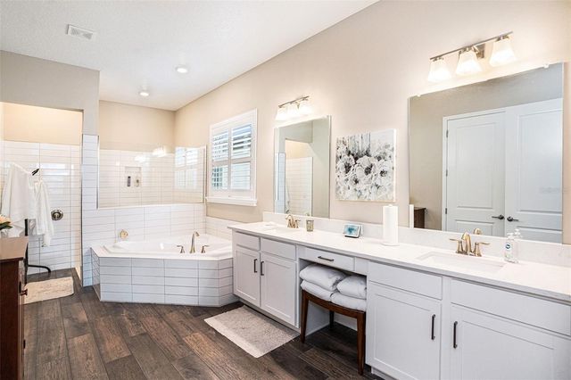 17100 FORGE SURF STREET, Land O Lakes, FL 34638