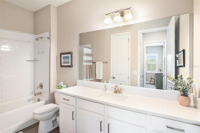 17100 FORGE SURF STREET, Land O Lakes, FL 34638