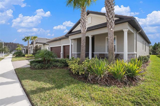 17100 FORGE SURF STREET, Land O Lakes, FL 34638