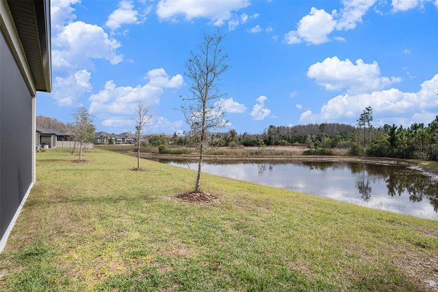 17100 FORGE SURF STREET, Land O Lakes, FL 34638