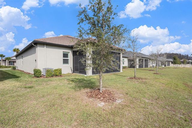 17100 FORGE SURF STREET, Land O Lakes, FL 34638