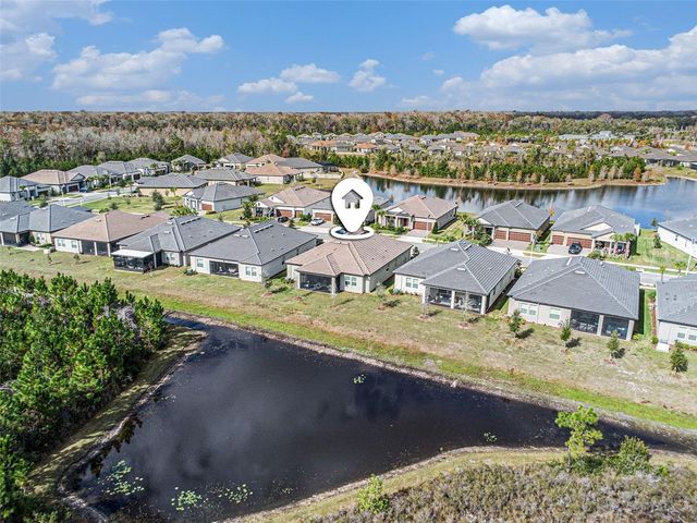 17100 FORGE SURF STREET, Land O Lakes, FL 34638