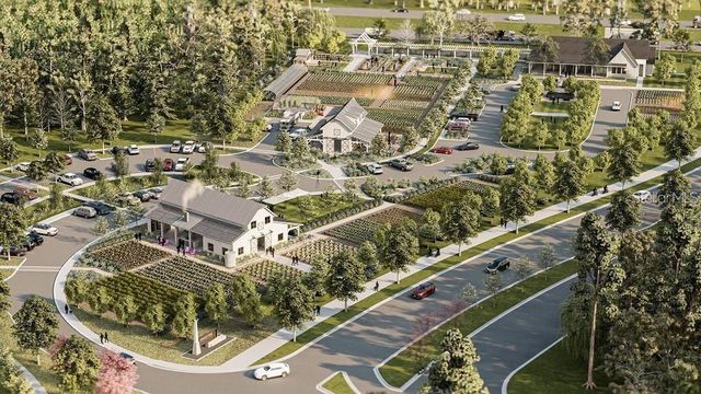 17100 FORGE SURF STREET, Land O Lakes, FL 34638