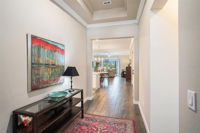 17100 FORGE SURF STREET, Land O Lakes, FL 34638