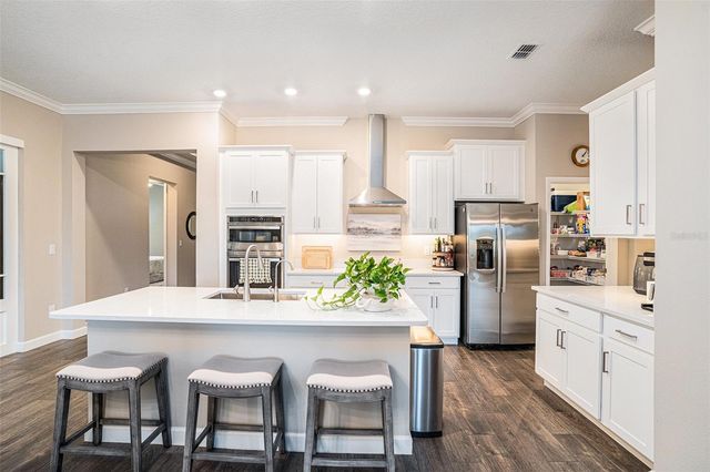 17100 FORGE SURF STREET, Land O Lakes, FL 34638