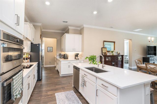 17100 FORGE SURF STREET, Land O Lakes, FL 34638