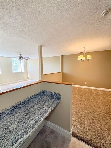 34 Newhall St 212, Lowell, MA 01852