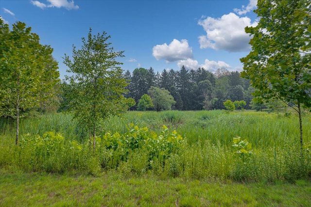 19839 Witt Road, Three Oaks, MI 49128
