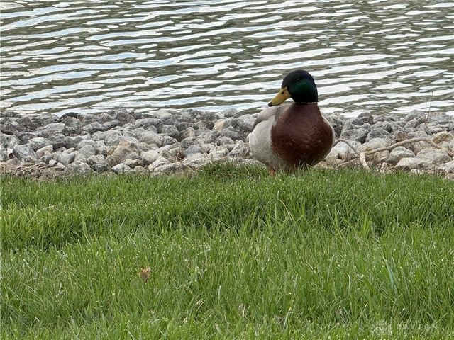 2433 Cabbage Key Drive, Miami Twp, OH 45342