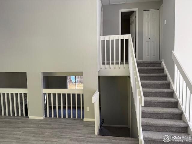 4436 Hollyhock St, Fort Collins, CO 80526