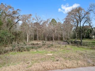 20719 New Kentucky Village Road, Hockley, TX 77447