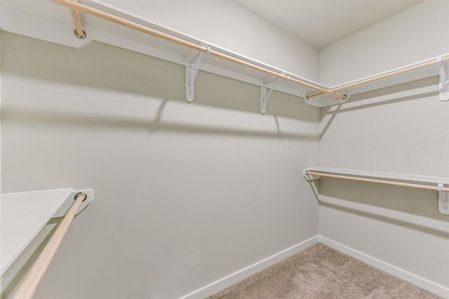 21123 Countryside Glade Lane, Bonney, TX 77583