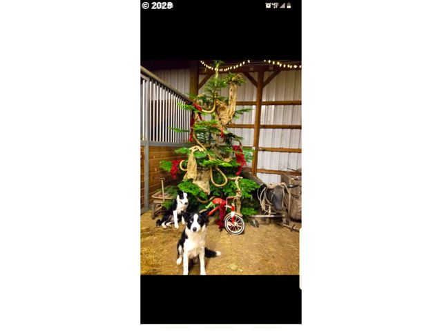 38717 DEXTER Rd, Dexter, OR 97431