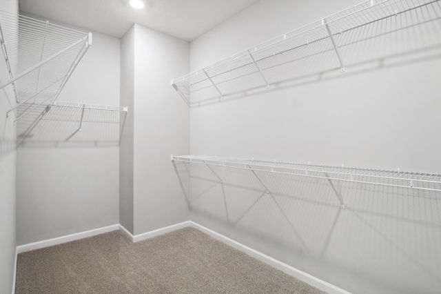 8204 Haywood Drive, Lino Lakes, MN 55014