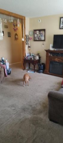 277 Cemetery Road, Spring City, TN 37381