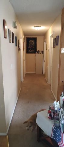 277 Cemetery Road, Spring City, TN 37381