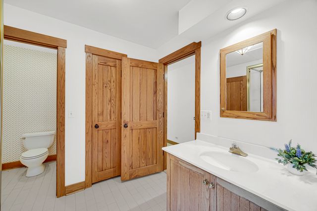 27250 N Meadowoods Lane, Mettawa, IL 60048