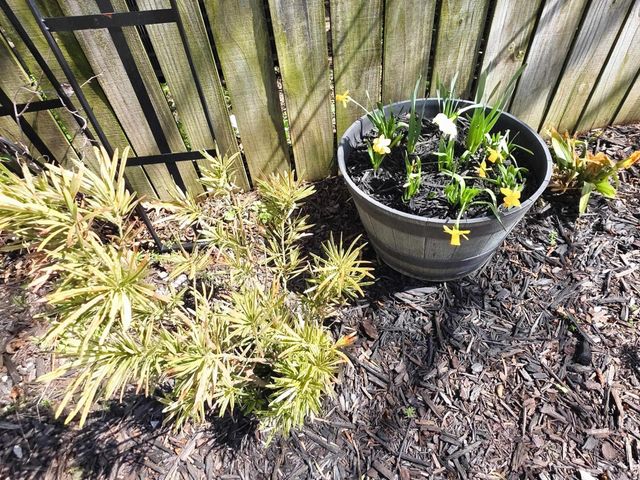 4262 AUTUMN SUN RD, Millington, TN 38053