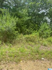 0 WALNUT COVE, Odenville, AL 35120