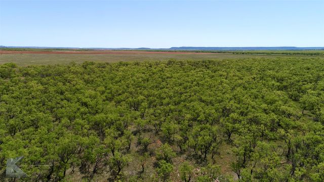 TBD County Rd 379, Merkel, TX 79536