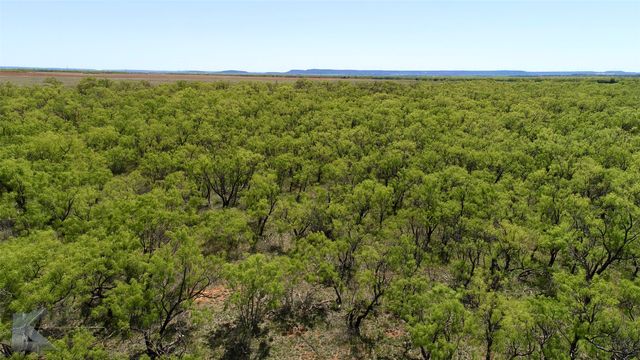 TBD County Rd 379, Merkel, TX 79536