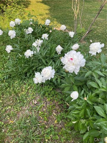 316 Barrington Road, Syracuse, NY 13214