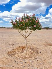 000 S 355th Avenue 1, Tonopah, AZ 85354