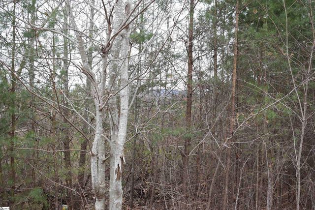 Goforth Road, Landrum, SC 29356