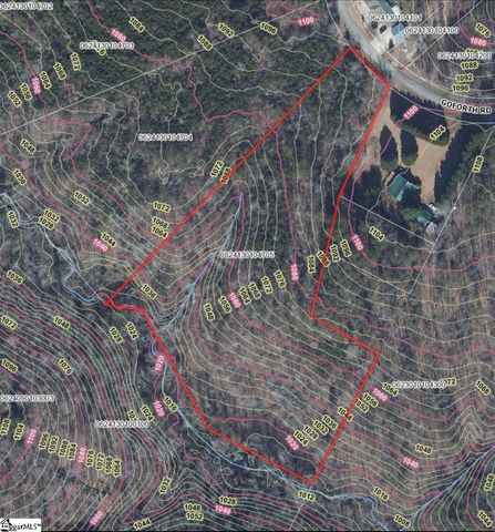 Goforth Road, Landrum, SC 29356