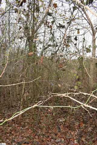 Goforth Road, Landrum, SC 29356