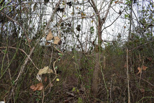 Goforth Road, Landrum, SC 29356