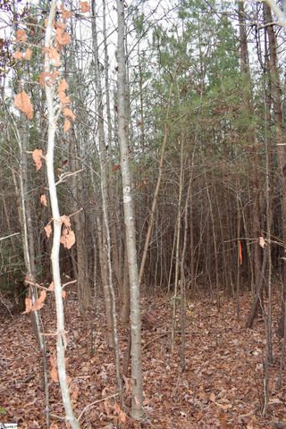 Goforth Road, Landrum, SC 29356