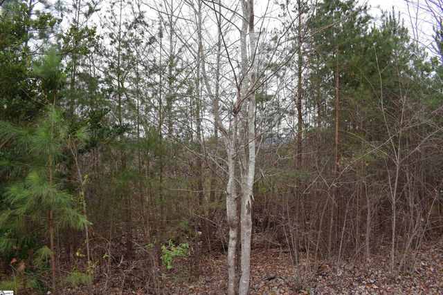 Goforth Road, Landrum, SC 29356